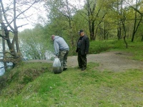 Zarybianie szczupakiem 